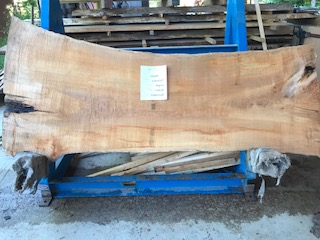 Maple Slab 57795